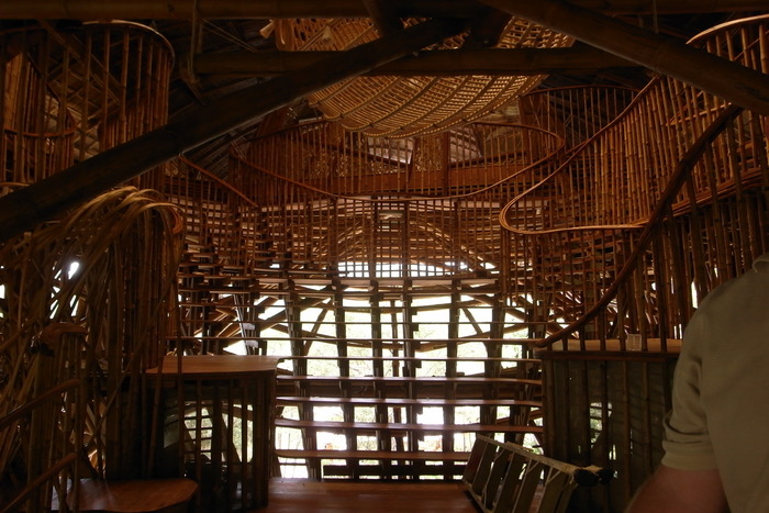 BAMBOO BANGA