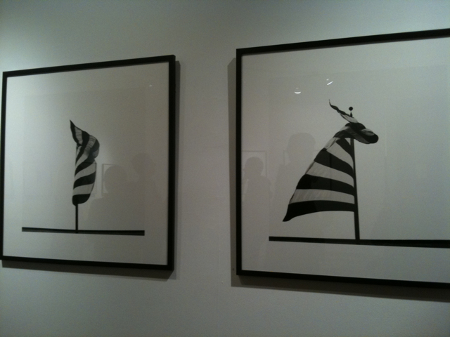 congrats to amadeo on a great show - the photos are a revelation! ('flags' at gallery fcb: 16 W23) 