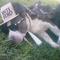 too much party!!!