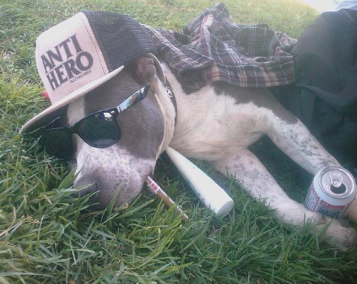 too much party!!!